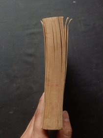 菜肴烹制技术（附点心制作）