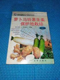 萝卜马铃薯生姜保护地栽培