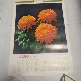 1989年历画 泥金豹 4开