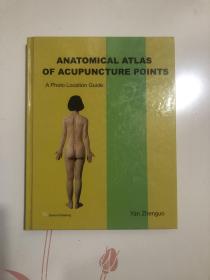 Anatomical atlas