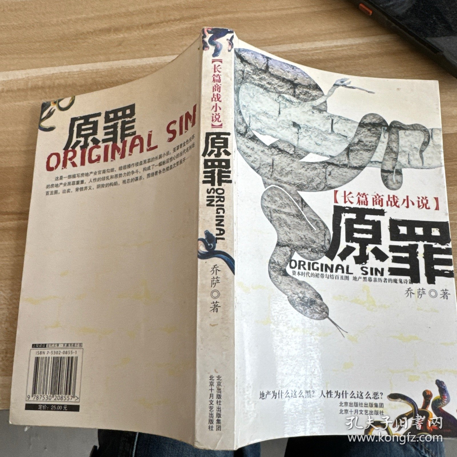 原罪：长篇商战小说