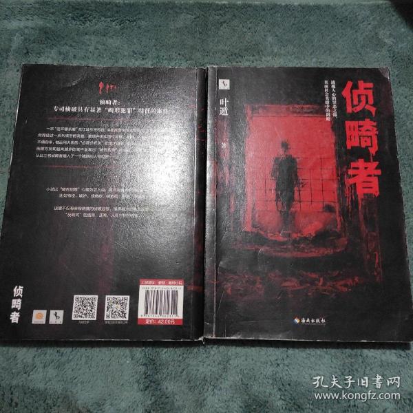 侦畸者（东野圭吾式的人性推理之作！带你看透最极致的冷酷人性！）