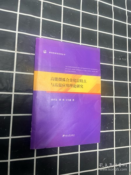 高能微弧合金化层特点与高温应用理论研究/新材料研究系列丛书