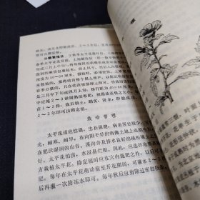 北京花卉+北京花卉续编 2册合售