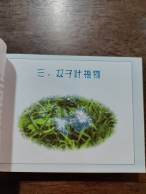 中草药野外识别手册4