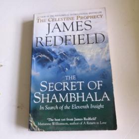 THE TENTH INSIGHT holding the vision /James Redfield warner