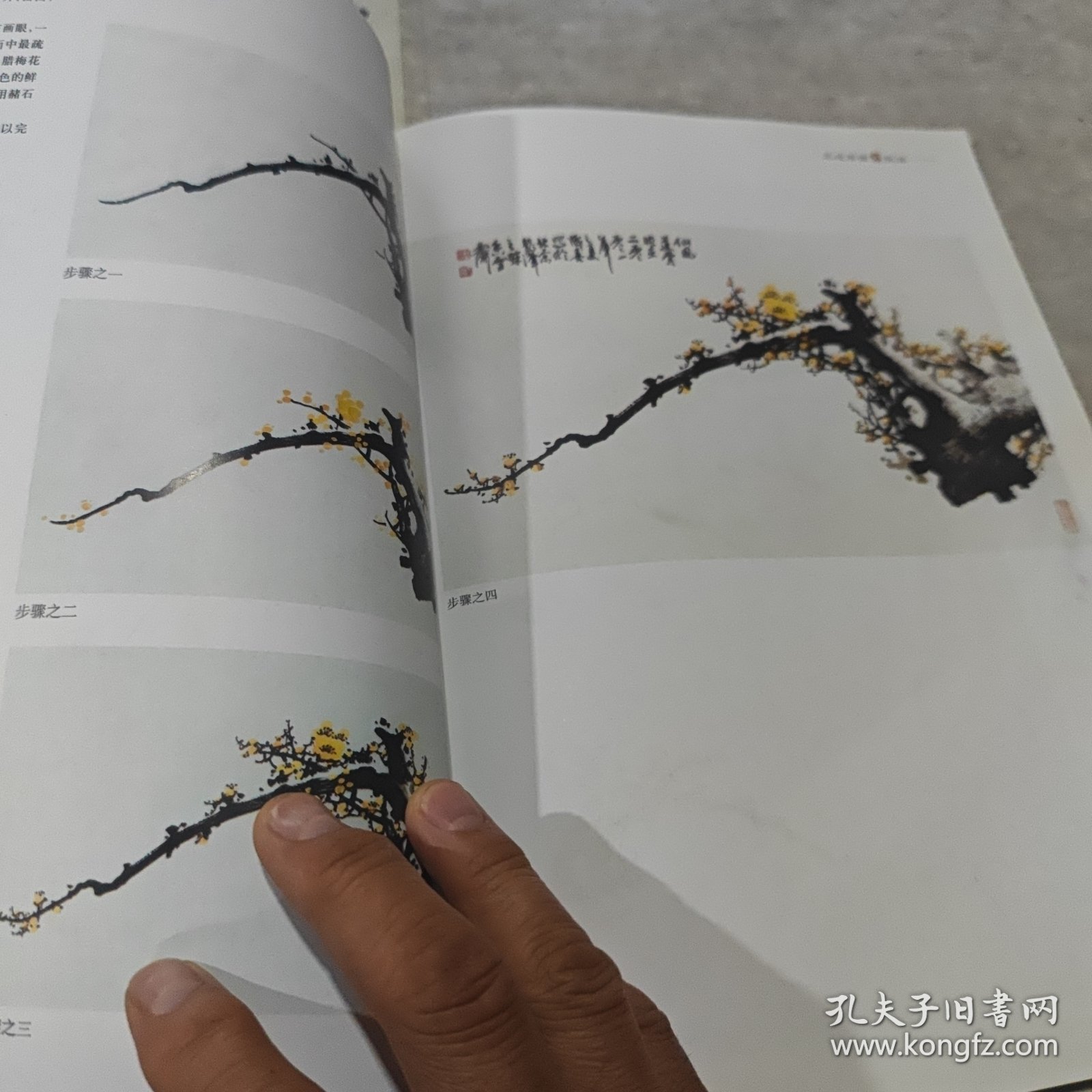 王成喜画梅技法