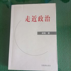 走进政治