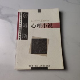 詹姆斯心理小说：世界文学大师小说名作典藏本