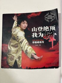 山登绝顶我为峰-李晓峰画传：SKY画传