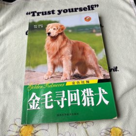 金色炫舞：金毛寻回猎犬