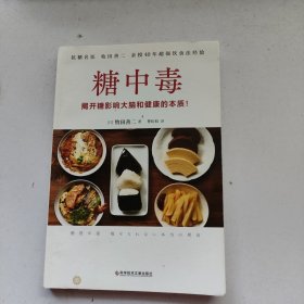 糖中毒（百万畅销书《饮食术》作者牧田善二亲授超强饮食法，提供对抗糖中毒的对策与戒除糖瘾的饮食法）