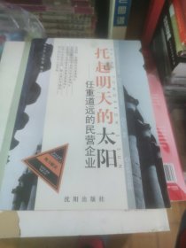 托起明天的太阳:任重道远的民营企业