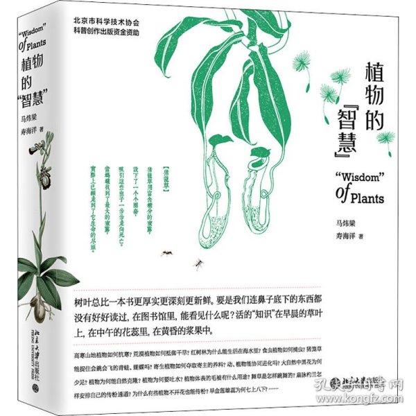 植物的"智慧" 9787301315439 马炜梁,寿海洋