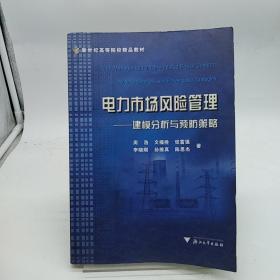 电力市场风险管理：建模分析与预防策略