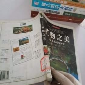 植物之美：生命源流的重新审视