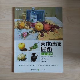 美术速成套路.色彩静物