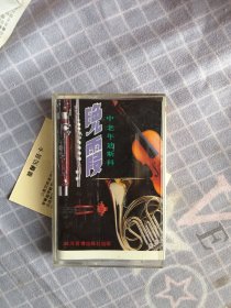 磁带/晚霞 中老年迪斯科