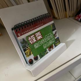 板栗病虫害及防治原色图册