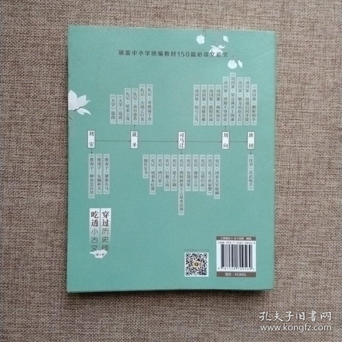 穿过历史线 吃透小古文(第3册)