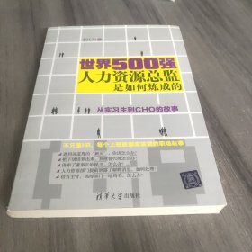 世界500强人力资源总监是如何炼成的：从实习生到CHO的故事