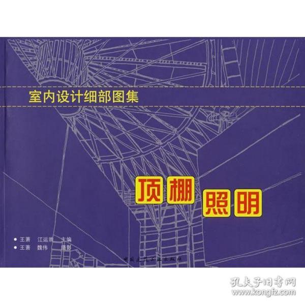 室内设计细部图集:顶栅、照明 建筑设计 王萧 新华正版