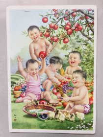 五十年代美术明信片:丰收的果实