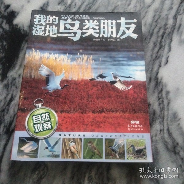 自然观察: 我的湿地鸟类朋友