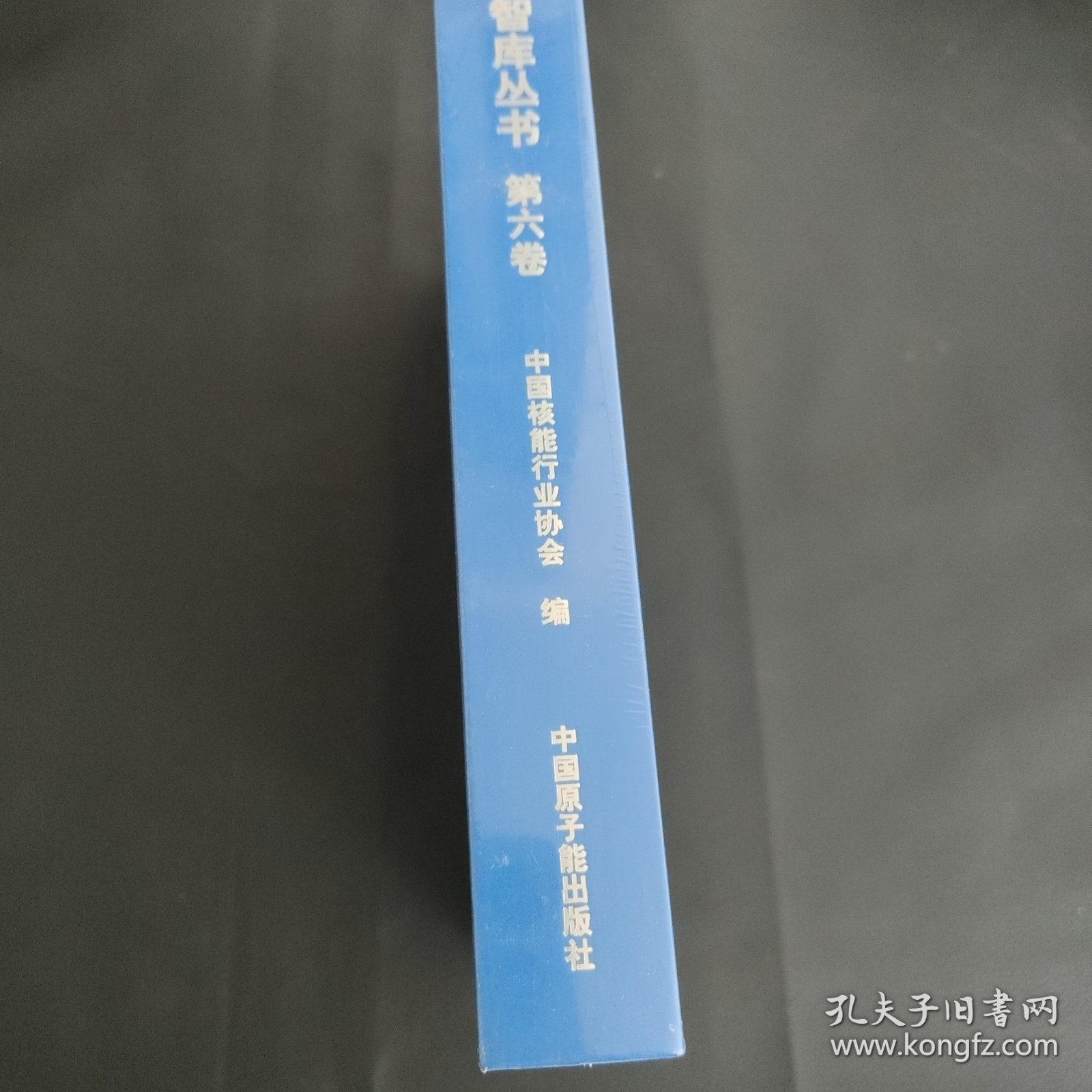 中国核能行业智库丛书·~六卷