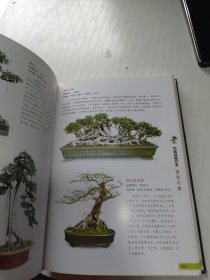 中国盆景艺术鉴赏全集