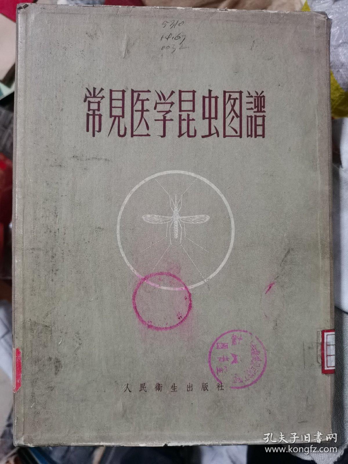 常见医学昆虫图谱