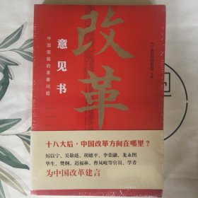 《21世纪经济报道》文丛：改革意见书