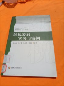 纳税筹划实务与案例