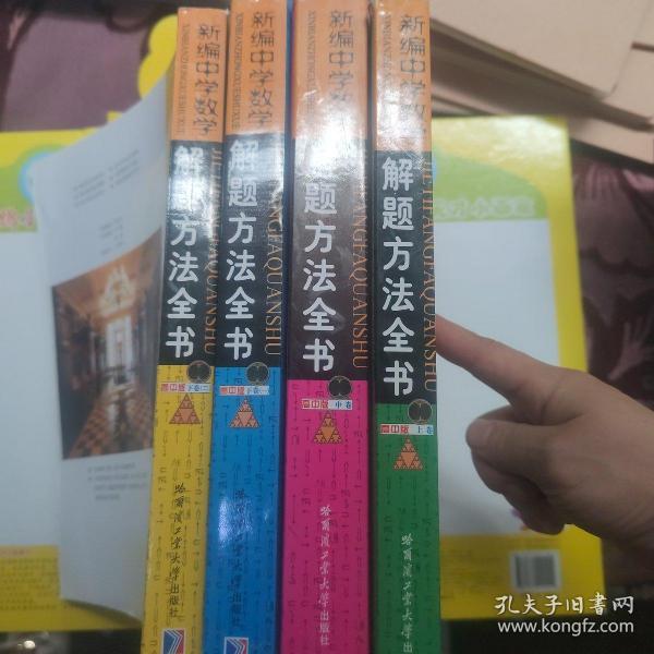 新编中学数学解题方法全书（上卷）（高中版）