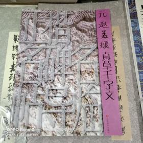 正楷名碑名帖导临：元赵孟頫真草千字文