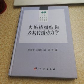 火焰精细结构及其传播动力学