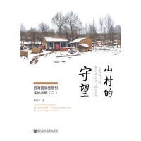 正版現(xiàn)貨新書(shū) 山村的守望：西海固駱駝巷村實(shí)地考察（二） 9787509782651 林燕平