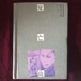 流亡曲——雷马克文集 G4