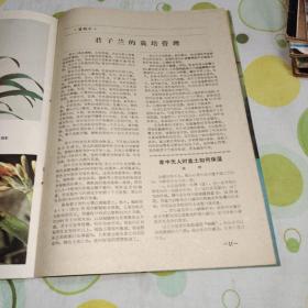 大众花卉1982年创刊号