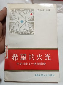 希望的火光:中关村电子一条街调查