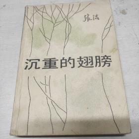 沉重的翅膀