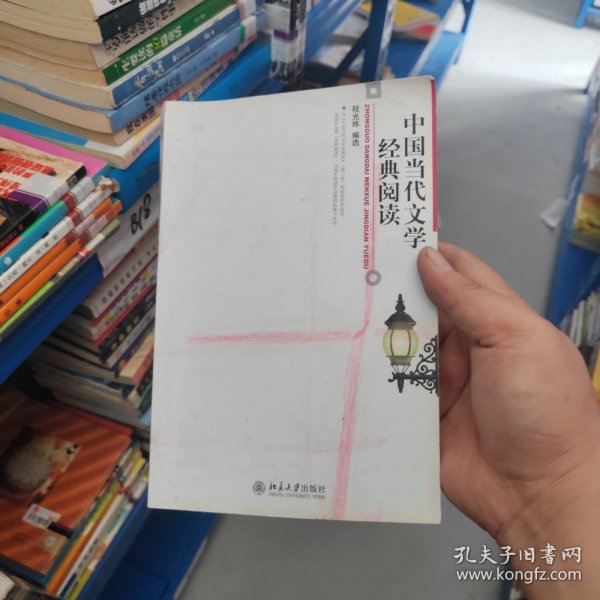 中国当代文学经典阅读