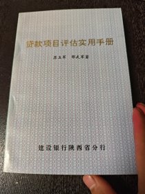 贷款项目评估实用手册