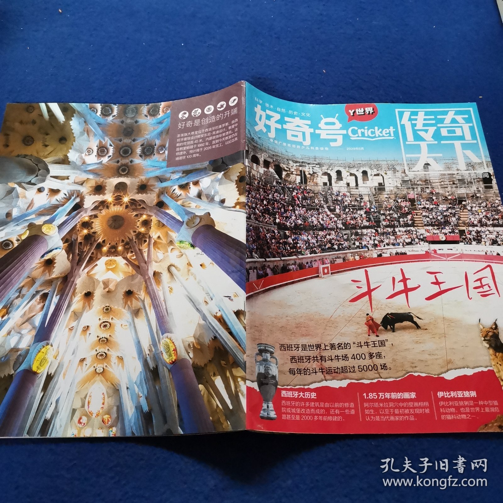 好奇号 传奇天下：斗牛王国2023年6月