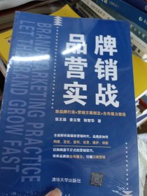 品牌营销实战：新品牌打造+营销方案制定+自传播力塑造