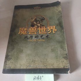 魔兽世界 战斗的艺术