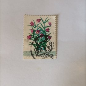 邮票1982T72药用植物贝母信销票1张。