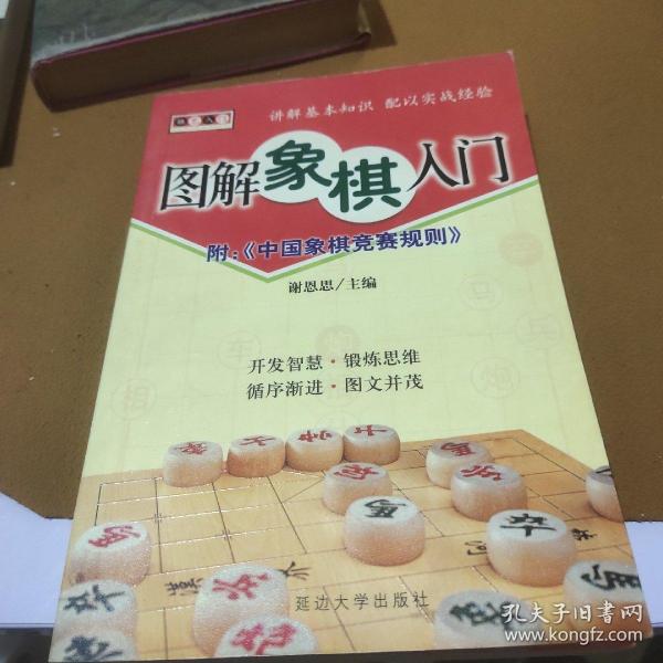 棋艺入门——图解围棋入门