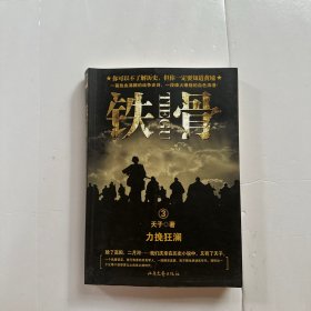 铁骨3：力挽狂澜