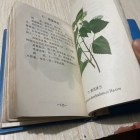 疟疾防治中草药选